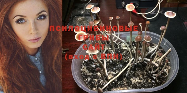 кокс Няндома