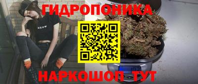 mdpv Лесосибирск