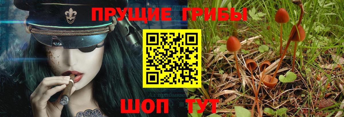 Новотроицк  Галлюциногенные грибы GOLDEN TEACHER  Вход с VPN 
