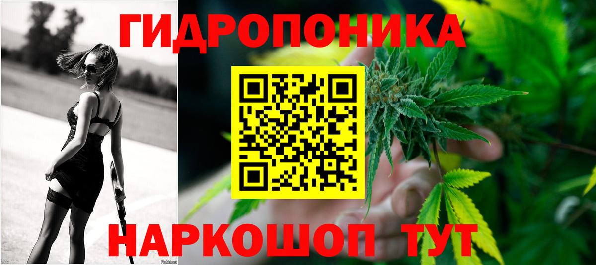 Шишки марихуана гибрид Новотроицк